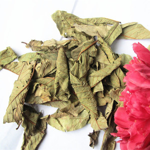 ใบชาแห้งฝรั่งใบพรีเมี่ยม - Product Image 5