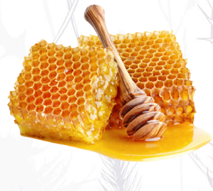 Miel de abeja natural de calidad famosa por su sabor al por mayor - Product Image 2