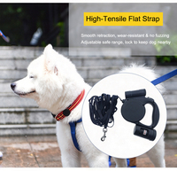 Laisse rétractable pour chien en nylon avec lampe torche intégrée et verrouillage automatique pour les promenades nocturnes et l'utilisation en extérieur des animaux de compagnie
