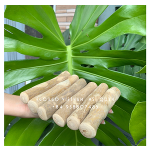 Eco2go-Palo de juguete para morder de madera de café Natural, ecológico y orgánico, mordedor de café para perro, Logo láser personalizado - Product Image 4