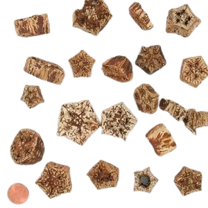 Potpourri Slice Potpourri Mahogany Vass Fillers <b>Mother</b> <b>S</b> <b>Day</b> Valentine <b>S</b> <b>Day</b> Christmas Thanks Gifts - Product Image 6