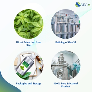 100% Huile essentielle de verveine pure et naturelle en vrac Prix de gros avec emballage personnalisé - Product Image 4