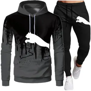 Ventes en gros de survêtements personnalisés en molleton à deux pièces, sweat-shirt et pantalon de jogging pour hommes, couleur et taille personnalisées, polyester/coton - Product Image 2