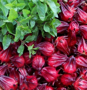 ดอกชบาแห้งคุณภาพสูง ชาเพื่อสุขภาพชนิดพิเศษสำหรับเทศกาล บรรจุในถุง - Product Image 5