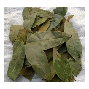 ใบทุเรียนเทศแห้งสำหรับการเก็บเกี่ยวแบบใหม่ในราคาไม่แพง - Product Image 4