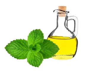 Diskon besar-besaran minyak esensial Peppermint 100% minyak Mint alami murni untuk pembuatan sampo sabun