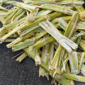 ลดกระหน่ำ | ชานอ้อยดิบจากเวียดนาม: ตัวเลือกที่เหมาะสมสำหรับปุ๋ยและอาหารสัตว์ - Product Image 6