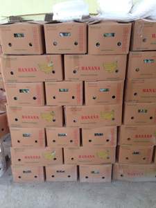กล้วยเวียดนามพรีเมียมสด บรรจุภัณฑ์แบบขายส่ง สำหรับผู้นำเข้า ผู้ค้าปลีก ผู้แปรรูปอาหาร และผู้จัดจำหน่ายขายส่ง - Product Image 2