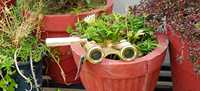 Shubham artesanía antigua Vintage MERITIME latón madre de perla Binocular ópera gafas Binocular