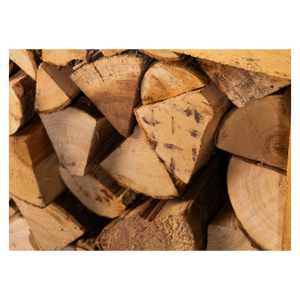 Troncos de Carpe de alta calidad disponibles a precio de fábrica para compradores mayoristas - Product Image 2