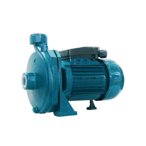 Elettropompa Centrifuga H-P 1 Mod.Cd67n - Product Image 1