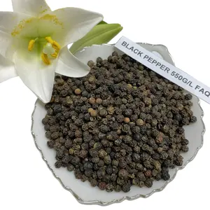 越南工厂天然黑胡椒所有类型低价全黑胡椒批发散装干香料