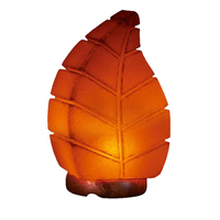 Lampe en sel de l'Himalaya 100% originale et écologique, style moderne en forme de feuille, artisanat naturel rose naturel