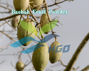 HGO Fournisseur direct d'usine de poudre de fruit de baobab pure naturelle, spécification de qualité alimentaire, poudre de fruit, poudre de fruit ou de légume - Product Image 2