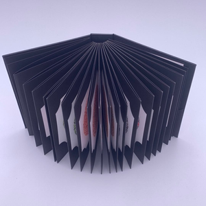 이시하라 테스트 38 플레이트 색상 결핍 테스트 북 - Product Image 2