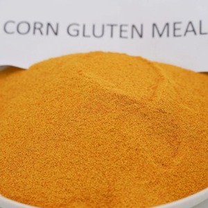 Farine de Gluten de Maïs Riche en Nutriments, Matière Première Végétale Riche en Protéines pour l'Industrie de l'Alimentation Animale, Meilleur Prix, Stock Disponible - Product Image 1