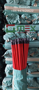 Balais de couleur naturelle, haute qualité, durables, solides, droits, écologiques, poils en plastique, manche en bois, prix compétitif - Product Image 2