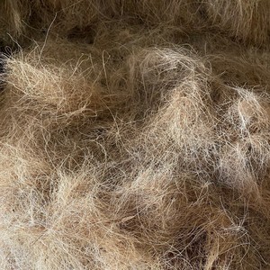 Matériau de vente chaud de fibre de coco Fibre de coco au Vietnam Distributeur entier de fibre de coco - Product Image 4