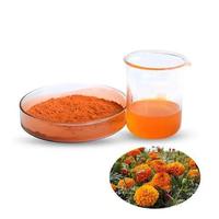 Extrait liquide de fleur de souci cultivé en milieu sauvage, extraits végétaux par extraction par solvant, colorant naturel, 100% pur, Lutéine 5%, en fût