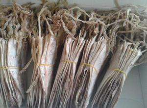 Calmar séché le plus vendu pour grillades, rôtissage, en-cas et distribution en vrac aux marchés de détail au Vietnam - Product Image 3