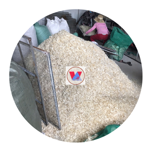 HIGH QUALITY DRIED FISH <b>SCALE</b> /<b>REMOVED</b> CALCIUM FISH <b>SCALE</b> - Product Image 6