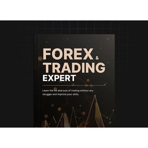 Risorsa per l'insegnamento della biblioteca del viaggio Gypsy digitale pacchetto di esperti di Forex e Trading - Product Image 1