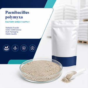 Poudre de Paenibacillus Polymyxa en gros, 10 milliards d'UFC/g, Biofertilisant, Conditionneur biologique du sol, Direct usine - Product Image 5