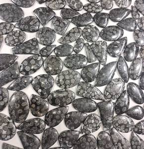 หินปะการังฟอสซิลธรรมชาติสีดำทรงไข่ลูกแพร์หลวมเรียบ Cabochon ส่งตรงจากโรงงานขายส่งร้านค้าออนไลน์ตอนนี้ - Product Image 1