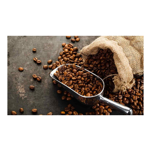 Café Instantáneo Liofilizado Arabica Fenzo al Por Mayor, de la Mejor Calidad, Sabor Avellana, Tueste Italiano, Grado Superior, Sabor Suave - Product Image 1