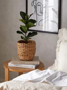 Pot de plante en jacinthe d'eau fait à la main pour l'intérieur et l'extérieur, jardin, salon, balcon, moderne et élégant - Product Image 3