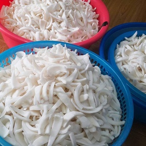 Precio competitivo carne fresca de coco congelada IQF para hornear con alta calidad de Vietnam - Product Image 1