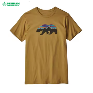 Camisetas Personalizadas de Alta Calidad 100% Algodón para Hombre, Venta al Por Mayor, Tallas Grandes, Ecológicas, Transpirables, 220g, Corte Holgado - Product Image 4