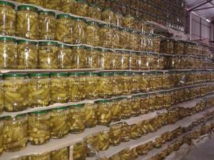Concombre en conserve très demandé pour la transformation alimentaire, adapté à la production de cornichons et de produits conservés, Vietnam - Product Image 5