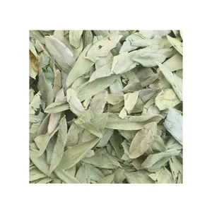 تاجر جملة سينا برايم 3 - Product Image 1