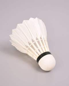 Swift Arc volante logotipo personalizado diseño profesional de alta calidad - Product Image 3