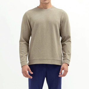 Haute qualité personnalisable 100% coton hommes sweat couleur unie manches longues coupe régulière sweats à vendre - Product Image 1