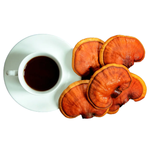 กาแฟบดบดกาแฟธรรมชาติสีน้ำตาลข้าวต้มกาแฟบดคุณภาพสูงสกัดจากกาแฟเห็ด - Product Image 1