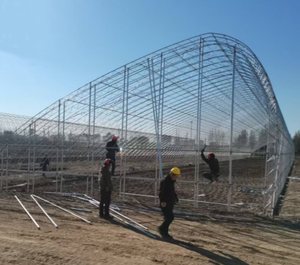 Tuberías de acero galvanizado en caliente, cubiertas con película de PE, de gran tamaño y bajo costo, para invernaderos agrícolas. - Product Image 5
