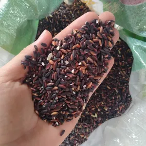 ข้าวสีดำ - Product Image 6
