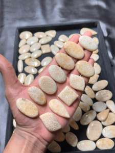 Cabujón de jaspe de Coral Fósil azul Natural de grado AAA, piedras preciosas sueltas pulidas suaves, regalo de tamaño personalizable para ella - Product Image 3