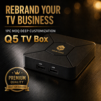 BOXPUT Q5 TV-Box Allwinner H313 2GB 8GB 4K Quad-Core Dual-Band WIFI6 BT 5.2 IATV Android 10 Benutzerdefiniertes UI-Startlogo Vorinstallierte Apps