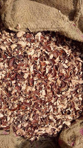 Coque de noix de cajou de premier choix pour l'énergie biomasse et les centrales électriques - Product Image 6