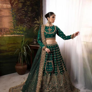 Vestido de Novia Pakistaní Moderno y Tradicional, con Mangas Largas, Cuello Alto, Bordado de Encaje Premium, Detalles Brillantes, Lujoso - Product Image 1