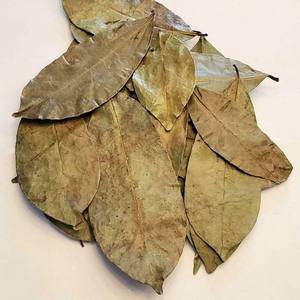 Fourniture en vrac de feuilles de corossol séchées feuilles de graviola sèches naturelles pour tisane récoltées dans des fermes biologiques - Product Image 4