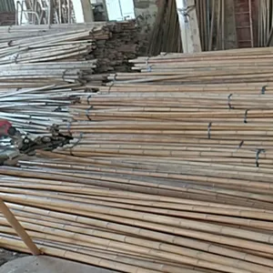 Produk pertanian bahan mentah tongkat Tonkin bunga bambu waktu yang baik fitur tanaman berwarna serat sertifikat keras asal alami