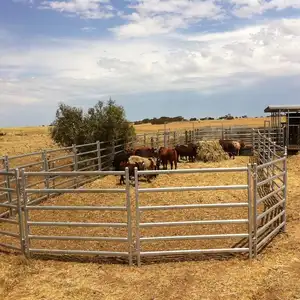 2023 hotsale di động mạ kẽm tấm kim loại hàng rào cho bút gia súc corral chăn nuôi trang trại ngựa