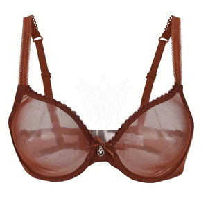 Soutien-gorge sexy pour femme en maille respirante, tissu transparent, bretelles réglables, grande taille, léger, maintien élevé, en nylon - Product Image 1
