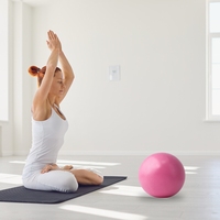 Bola Yoga Mini Pilates PVC 20cm Grosir - Tahan Lama Anti-Pecah Ukuran Kustom untuk Latihan Inti & Kebugaran