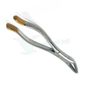 Service OEM Forceps d'extraction dentaire de haute qualité Forceps d'extraction en acier inoxydable - Product Image 6