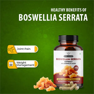 Capsules d'extrait de Boswellia Serrata de la plus haute qualité 65% acides boswelliques Supplément à base de plantes de qualité alimentaire dans une bouteille de style encens - Product Image 2